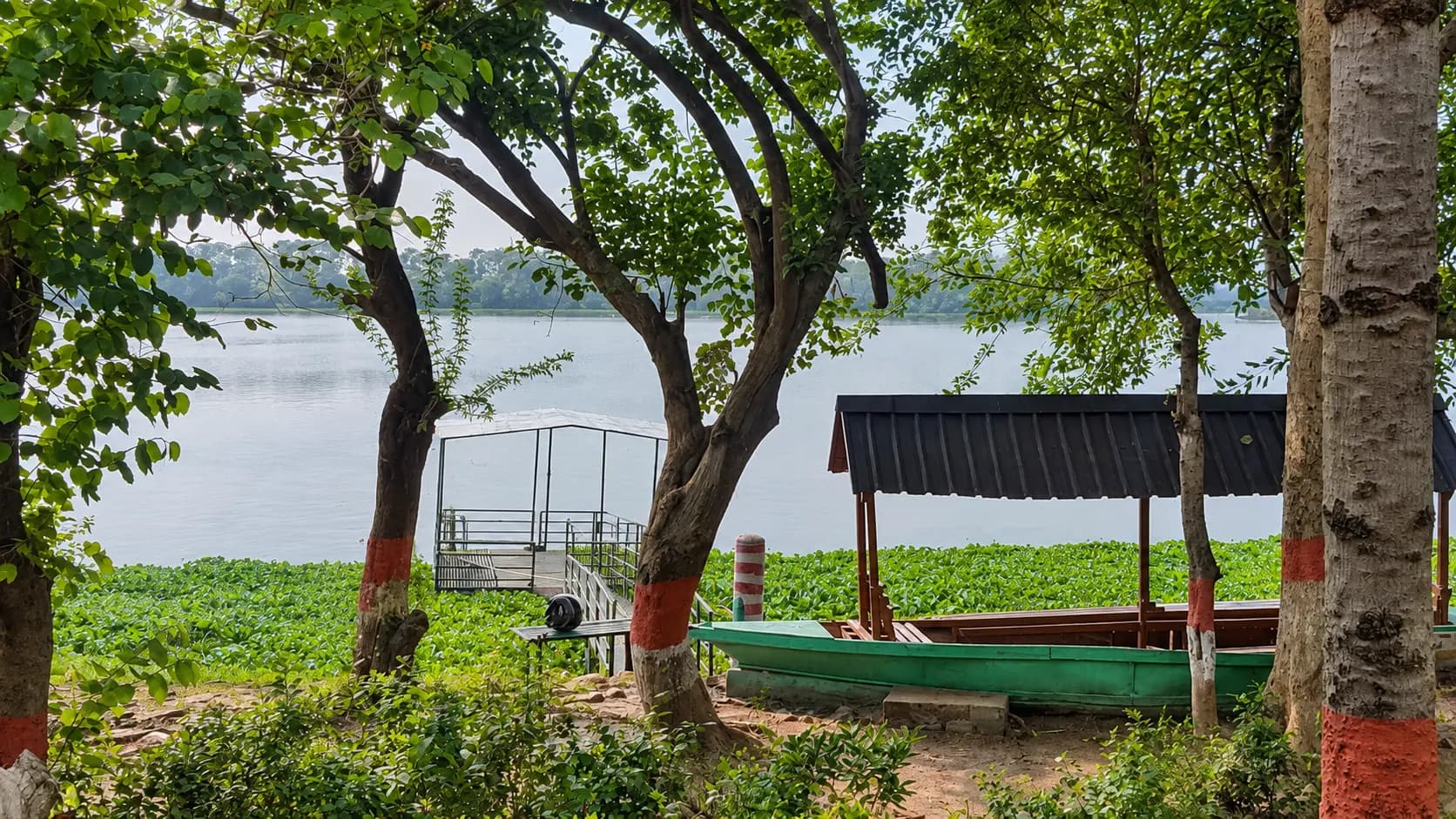 Noida landscape