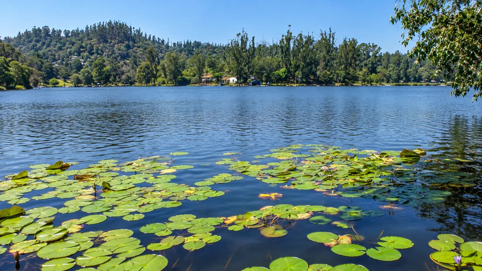 Kodaikanal Palani