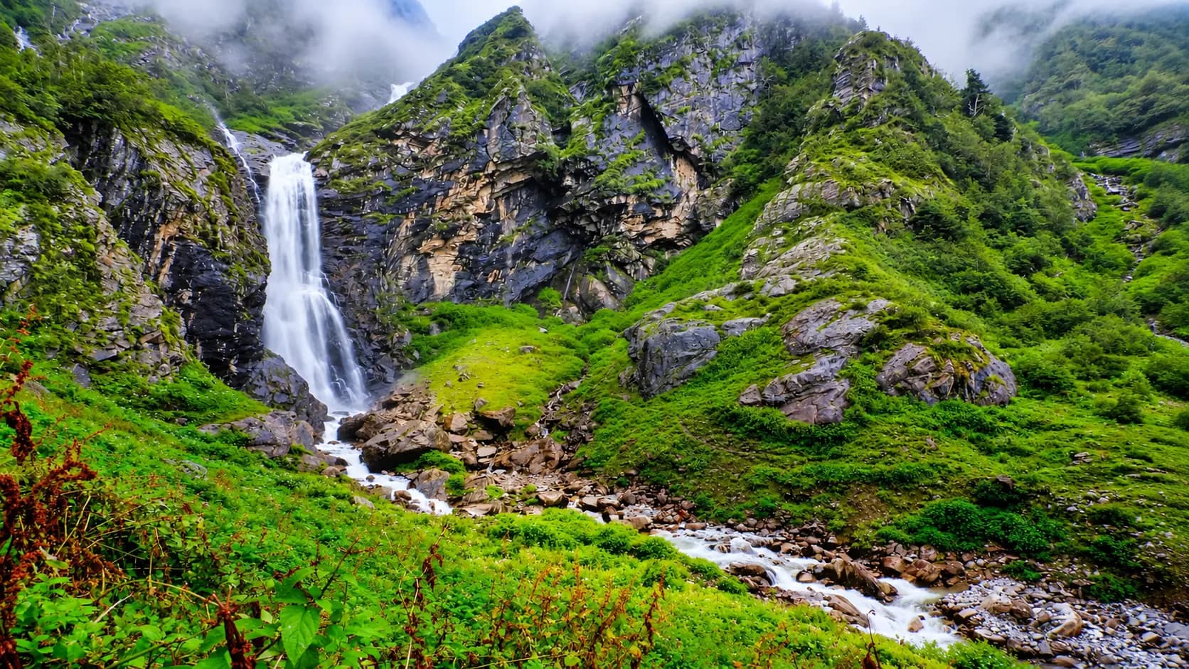Valley of Flowers