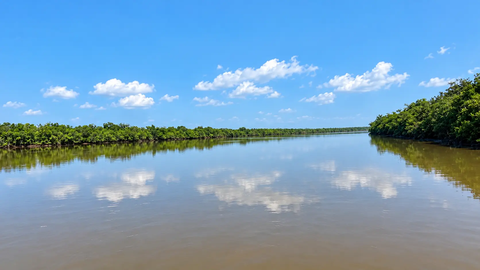 Bhitarkanika & Cuttack