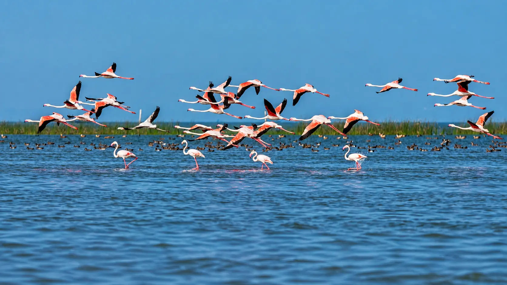 Chilika & South Coast